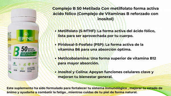 B50 Metilada Con metilfolato - 60caps - Imagen 3