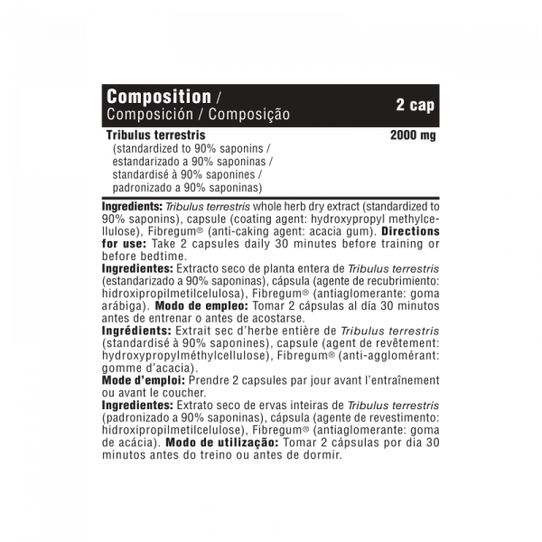 TRIBU 2000 - Imagen 2