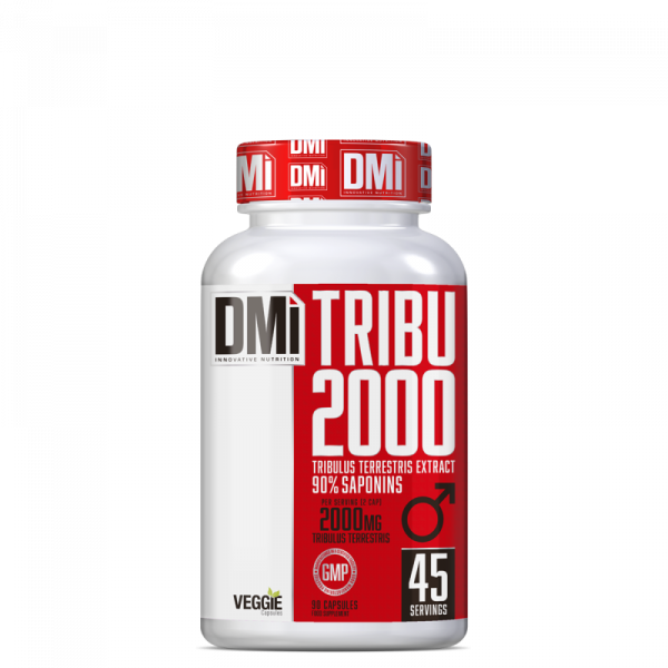 TRIBU 2000